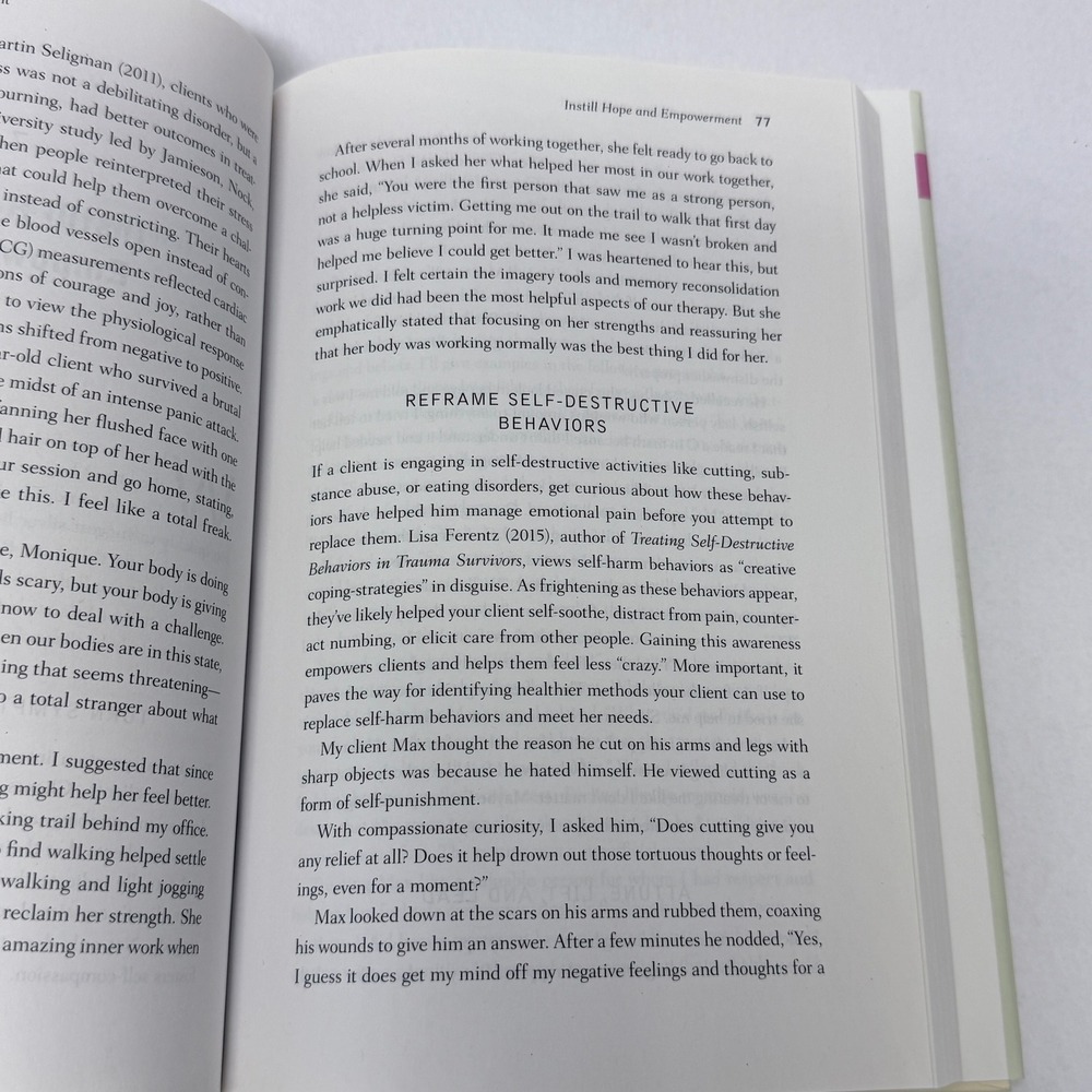 Rethinking Trauma Treatment Courtney Armstrong Attachment Memory Hardcover Book - Picture 7 of 9